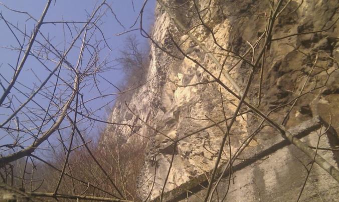 older beauty, mesozoic limestones, bosnia